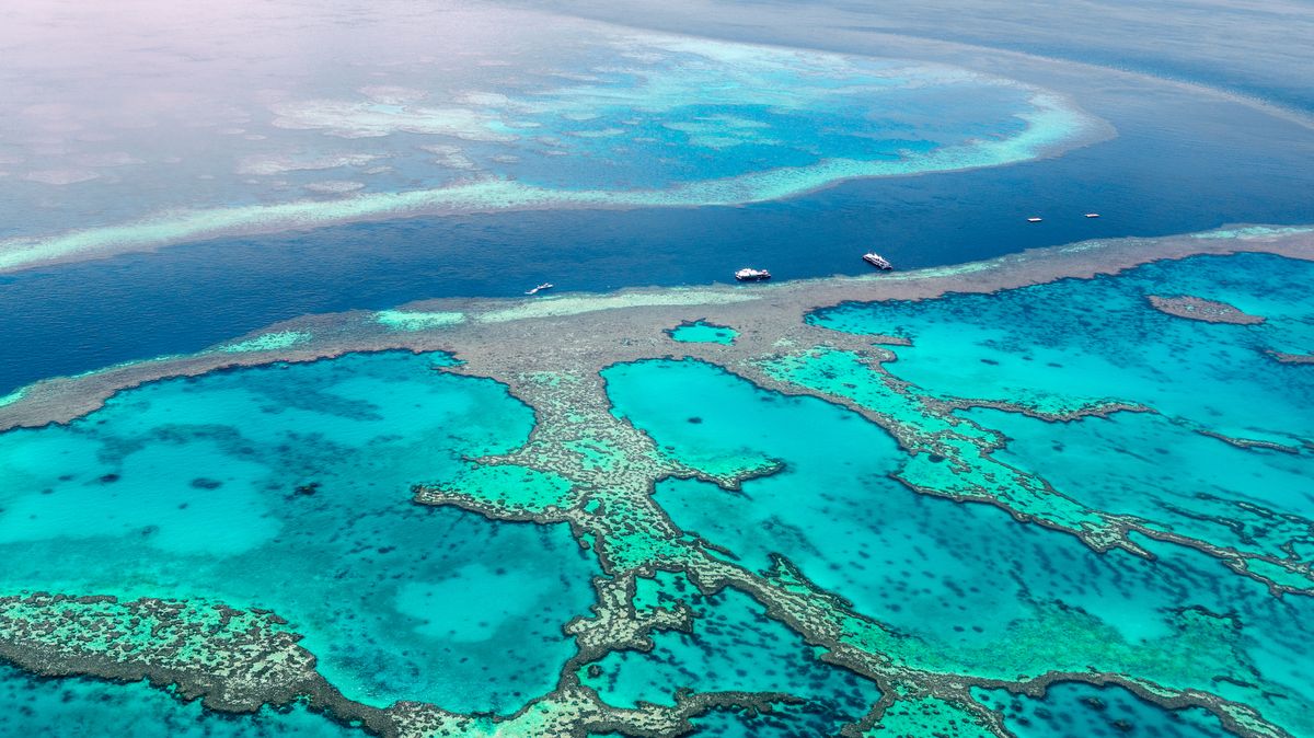 Vědci se zlobí, Austrálie udržela slavný útes mimo seznam ohrožených míst
